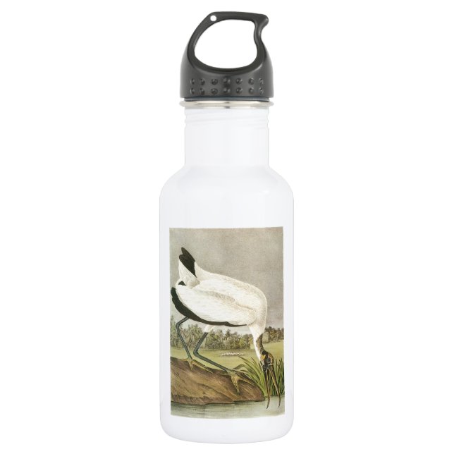 Holzstorch von Audubon Trinkflasche (Vorderseite)