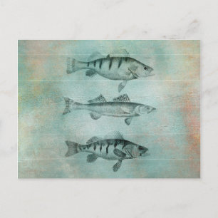 Holzstruktur mit Fischdesign Postkarte