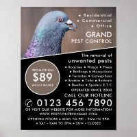 Holztaube, Pest-Kontrolle-Werbung