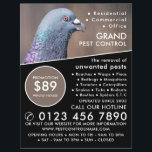 Holztaube, Werbung für Kontrollen in der Schädling Flyer<br><div class="desc">Holztaube,  Schädling-Kontrolle-Werbe-Flyer durch den Business Card Store.</div>