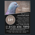 Holztaube, Werbung für Kontrollen in der Schädling Flyer<br><div class="desc">Holztaube,  Schädling-Kontrolle-Werbe-Flyer durch den Business Card Store.</div>