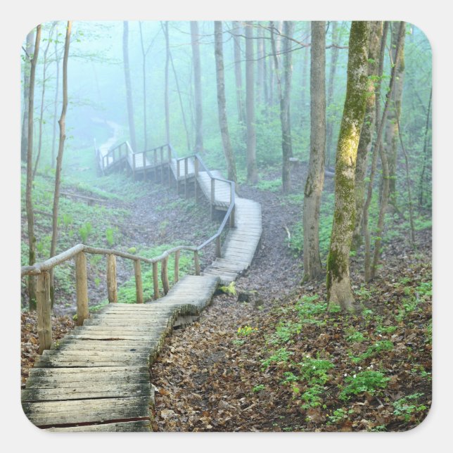 Holztreppen durch den Wald Quadratischer Aufkleber (Vorderseite)