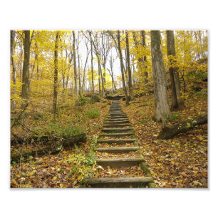 Holztreppen im Staat Park Fotodruck