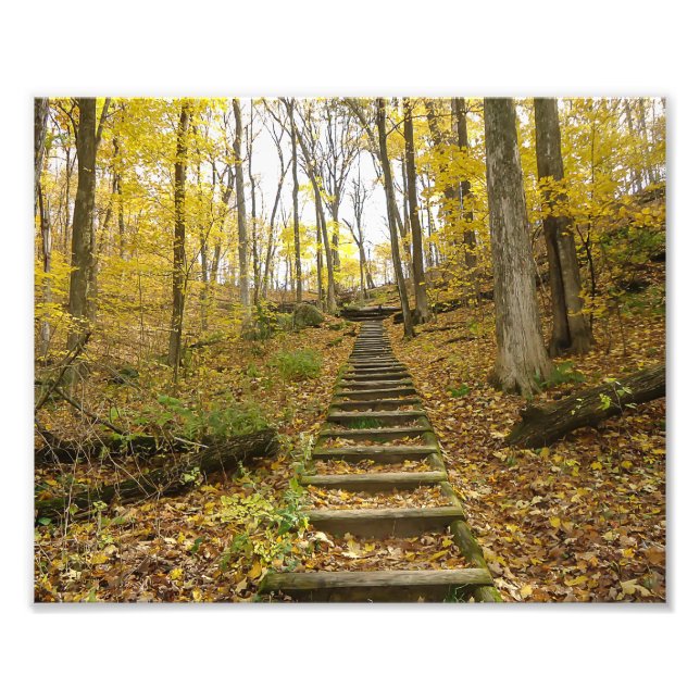 Holztreppen im Staat Park Fotodruck (Vorne)