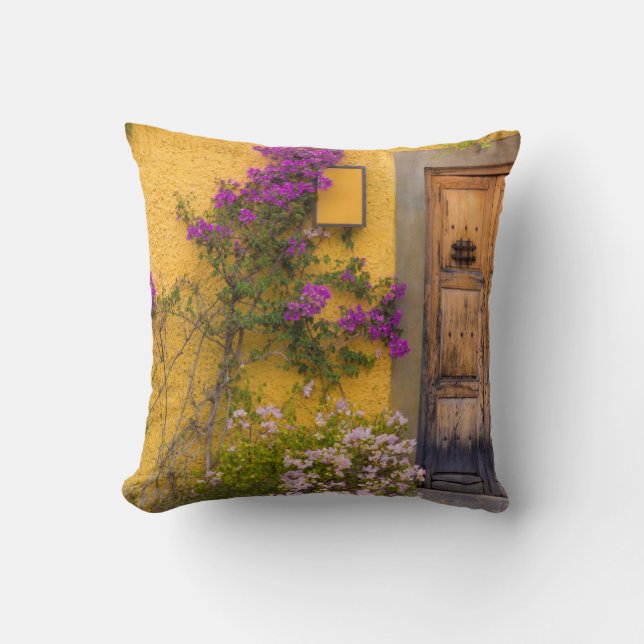 Holztüre Kissen (Vorderseite)