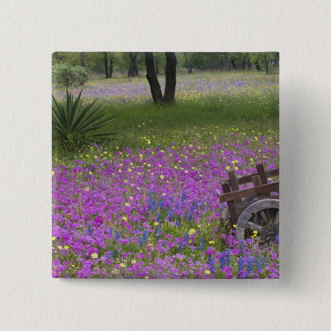 Holzwagen auf einem Feld mit Phlox, Blaue Hütchen  Button (Vorderseite)