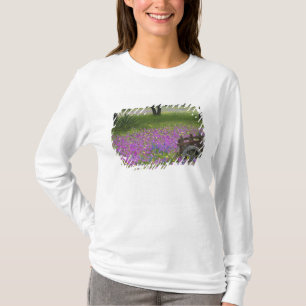 Holzwagen auf einem Phloxfeld, Blaue Bonnets T-Shirt