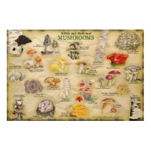 Holzwall Art Mushrooms