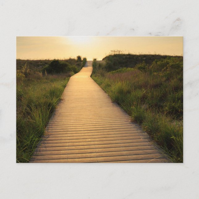 Holzweg bis Strand Postkarte (Vorderseite)