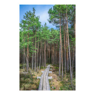 Holzweg im Kiefernwald Fotodruck