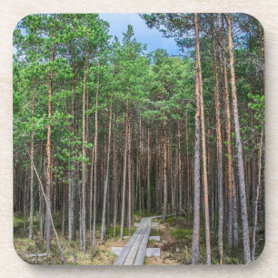 Holzweg im Kiefernwald Getränkeuntersetzer