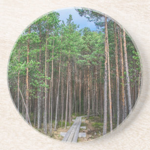 Holzweg im Kiefernwald Getränkeuntersetzer