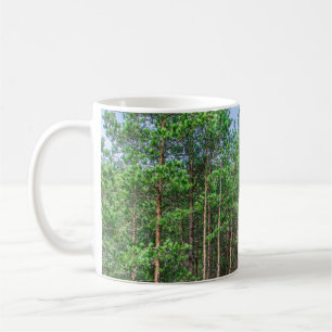 Holzweg im Kiefernwald Kaffeetasse