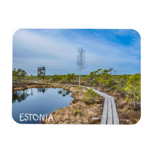 Holzweg über den Sumpf in Estland Magnet