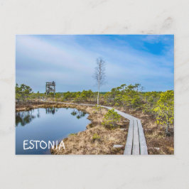 Holzweg über den Sumpf in Estland Postkarte