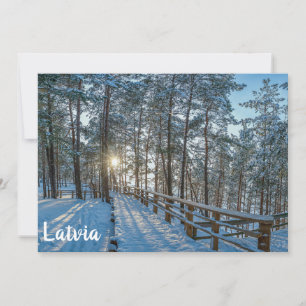 Holzweg über schneebedeckten Winterwald