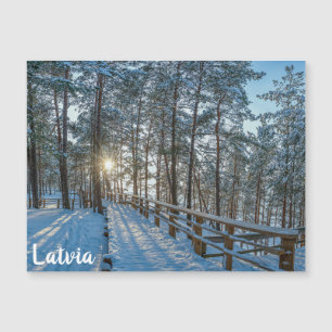 Holzweg über schneebedeckten Winterwald Magnetkarte