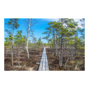 Holzweg über Sumpf Fotodruck