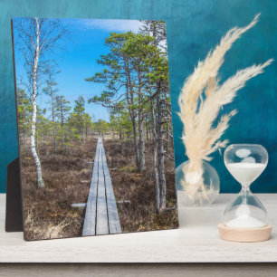Holzweg über Sumpf Fotoplatte