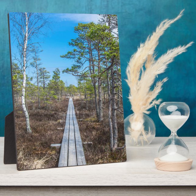 Holzweg über Sumpf Fotoplatte (Seite)