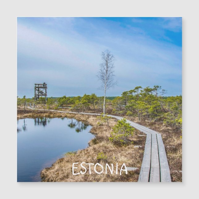 Holzweg über Sumpf in Estland Magnet (Vorderseite)