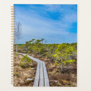 Holzweg über Sumpf mit Turm Planer