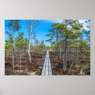 Holzweg über Sumpf Poster