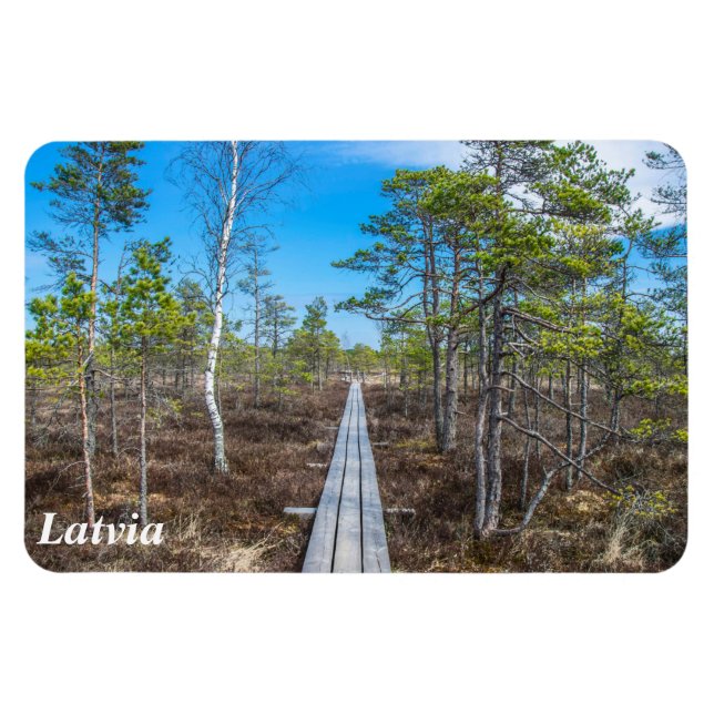 Holzweg über Sumpfmagnet Magnet (Horizontal)