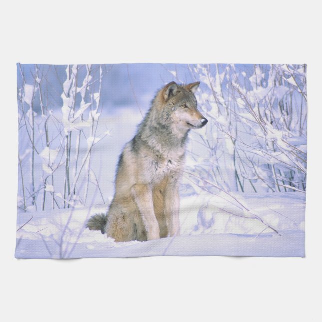 Holzwolf im Schnee, Canis lupus, Handtuch (Horizontal)