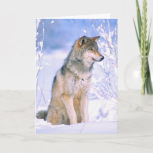 Holzwolf im Schnee Feiertagskarte