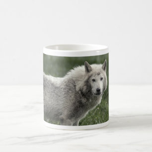 Holzwolf Kaffeetasse