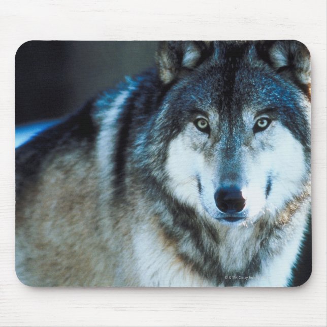 Holzwolf Mousepad (Vorne)