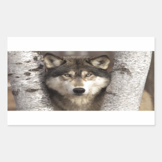 Holzwolf von Jim Zuckerman Rechteckiger Aufkleber