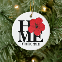 HOME Atlantic Beach Florida Red Hibiscus