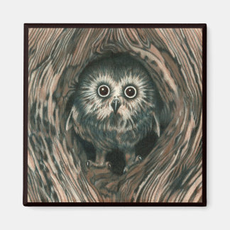 "Home in a Hole" Owl Magnet