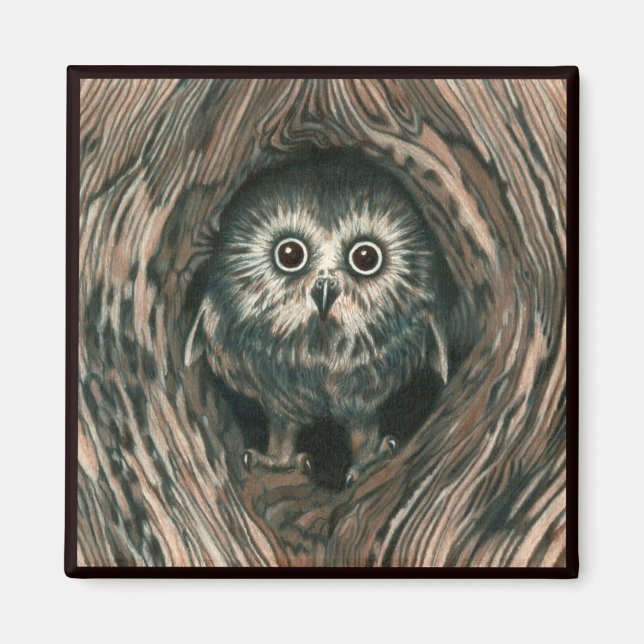 "Home in a Hole" Owl Magnet (Devant)