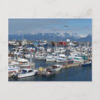 Homer Alaska