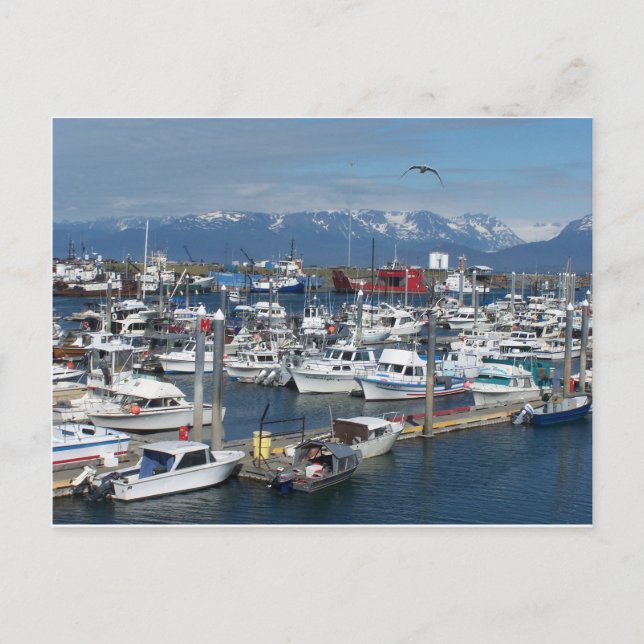 Homer Alaska Postkarte (Vorderseite)