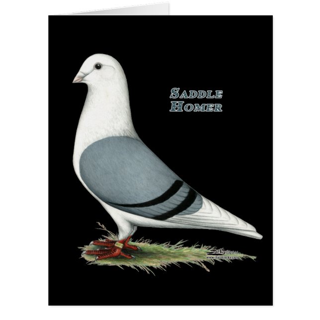 Homer Blue Saddle (Vorderseite)