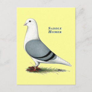 Homer Blue Saddle Postkarte
