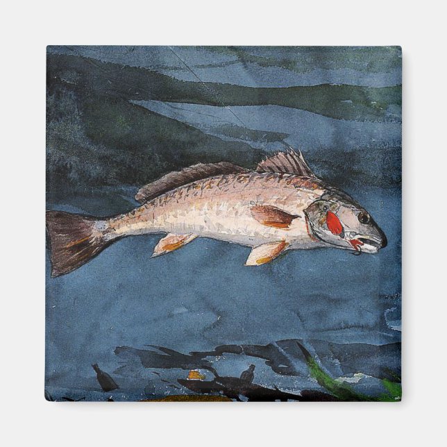 Homer - Channel Bass, Florida, Magnet (Vorne)