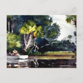 Homer - Homosassa Dschungel Postkarte