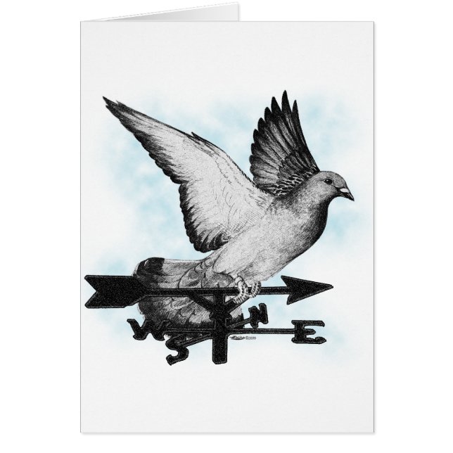 Homère de la veine météo2 (Devant)