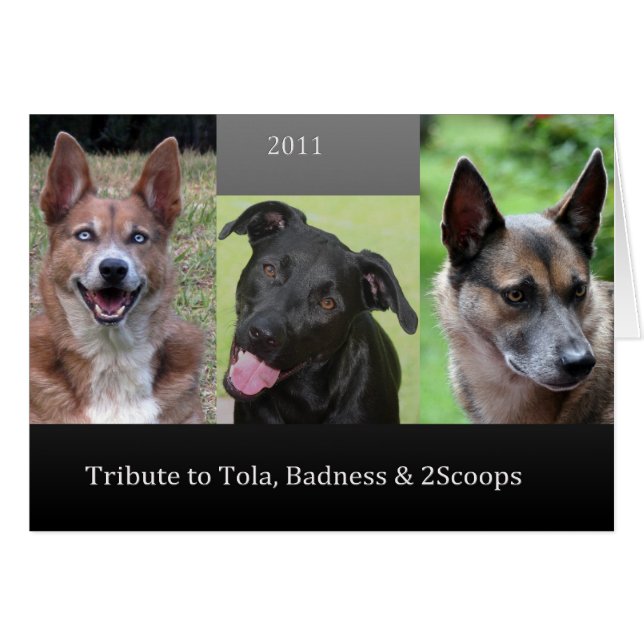 Hommage (Devant horizontal)