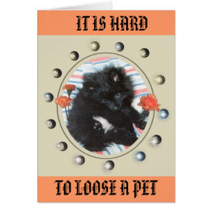 HOMMAGE À MON MINDY