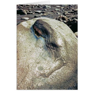 Hommage aux femmes andines/à carte se pliante