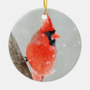 Homme Cardinal Rouge Branche de neige Ornement