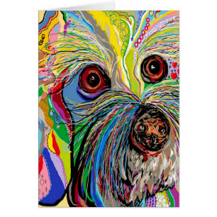 Homme de chaussure de Bichon…