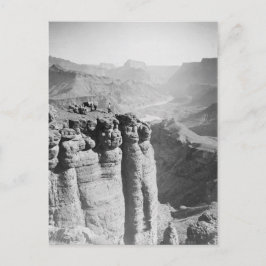 Homme et âne à la carte postale Grand Canyon