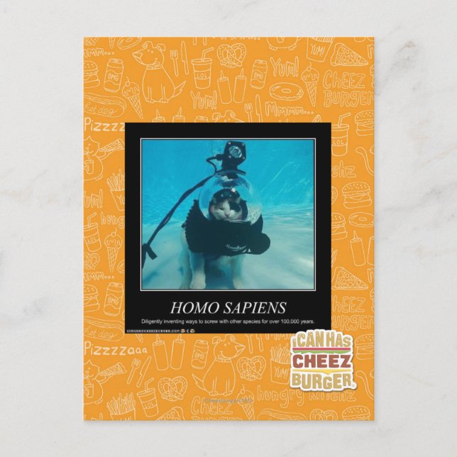 Homo Sapiens Postkarte (Vorderseite)